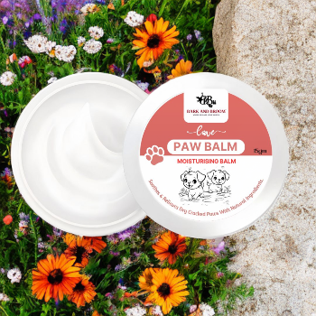 Embrace Healthier Paws with Bark and Broom Paw Balm: A Must-Have for Every Pet Parent