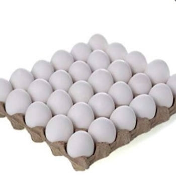 How One Egg Transformed Priya’s Morning Routine