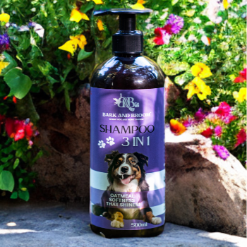 A Groomer's Secret: The All-in-One Dog Shampoo Loved by Indian Pet Parents