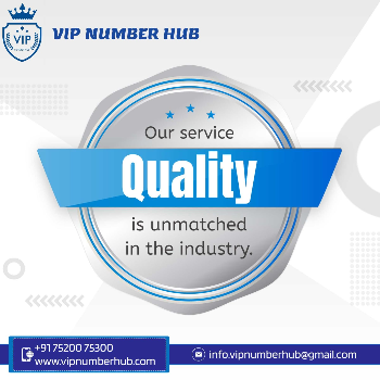 Transform Your Business Identity with Exclusive VIP Numbers
