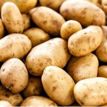 How Potatoes Transformed My Kitchen: A Journey into Culinary Bliss