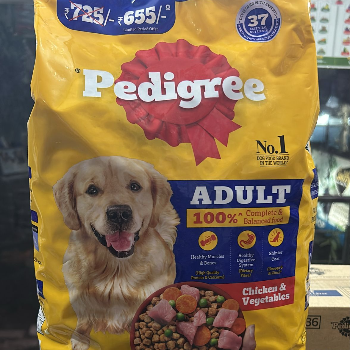 How Pedigree Transforms Pet Care for Indian Families