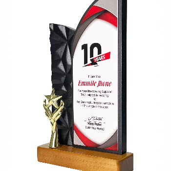 Celebrating Achievements: The Perfect Wooden Trophy with Star for Every Occasion