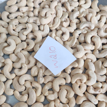 Discover the Perfect Cashew for Export Success: How Sri Ram Corporation Can Transform Your Business