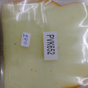 The Secret to Staying Organized: Meet Priya’s Colorful Journey with a Sandwich-Shaped Diary