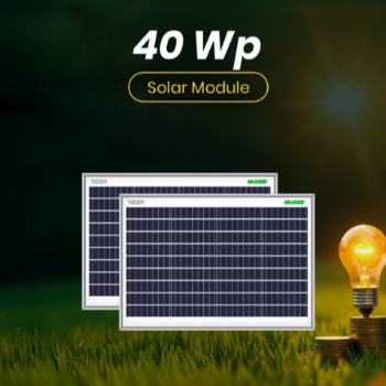 Harnessing the Sun: How Waaree's 40WP Solar Module Transforms Rural India