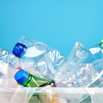 Transforming Waste into Wealth: How Bhangarwalaa Empowers Indian Entrepreneurs