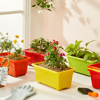 Transform Your Home with Designer Plastic Plant Pots: A Journey to Green Living