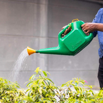 Transform Your Garden with Durable Plastic Water Cans