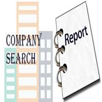 Unlocking Business Potential: How ROC Search Reports Empower Entrepreneurs
