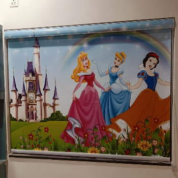 Transforming Spaces: How Roller Blinds Became the Perfect Solution for Riya’s Home