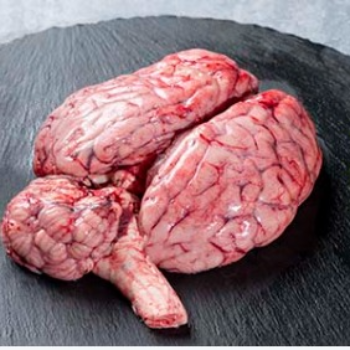 Nourishing Mind and Body: The Journey of Rediscovering Health with Beef Brain