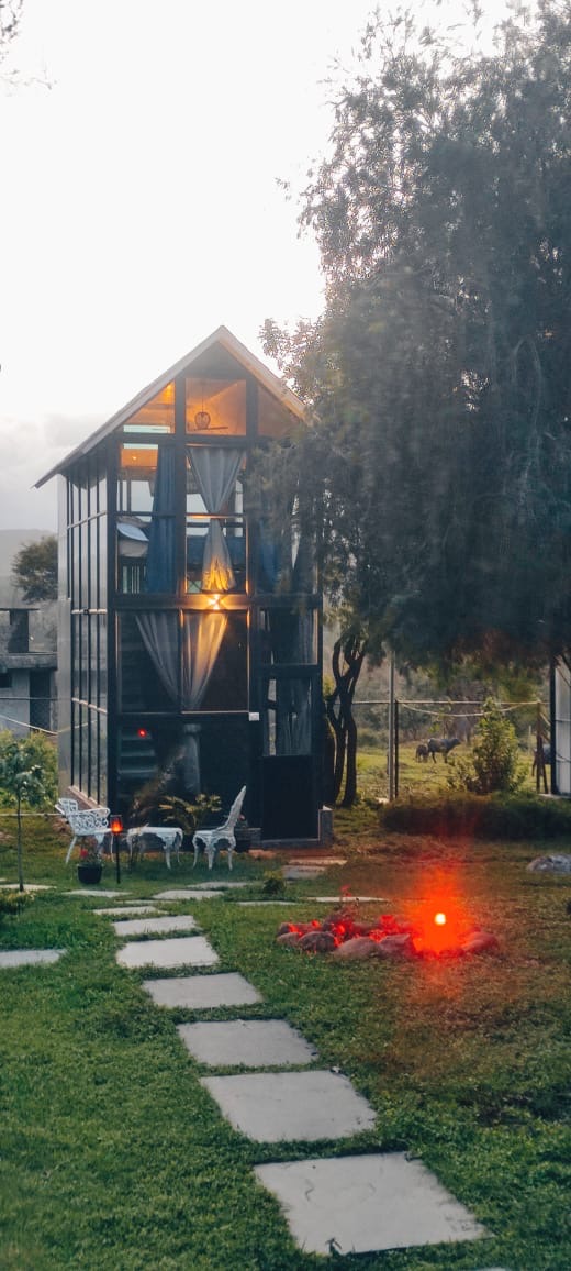 Rediscover Tranquility: How the Glasshouse Experience Transforms Urban Lives