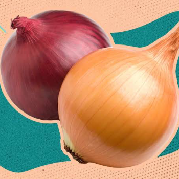 How Onions from Yassar Fruit and Vegetable Transform the Life of Every Indian Homemaker