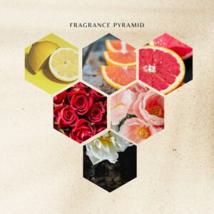 Embrace Tranquility: How Florescence Can Transform Your Home