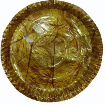 Transforming Celebrations: A Sustainable Shift with Salpatta Paper Plates
