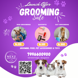 Transform Your Life with Nex2Nature's Grooming Package: A Story of Confidence and Renewal