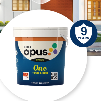 Transform Your Vision: How One True Look Empowers Entrepreneurs