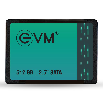 Empowering Radhika: How a 512GB SATA SSD Revolutionized Her Business