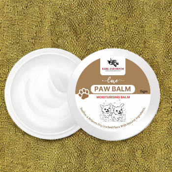 How Bark and Broom's Paw Balm Became Little Simba’s Best Friend