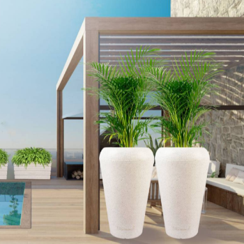 Transform Your Space: Discover the Perfect Fiber Plants for Home and Office