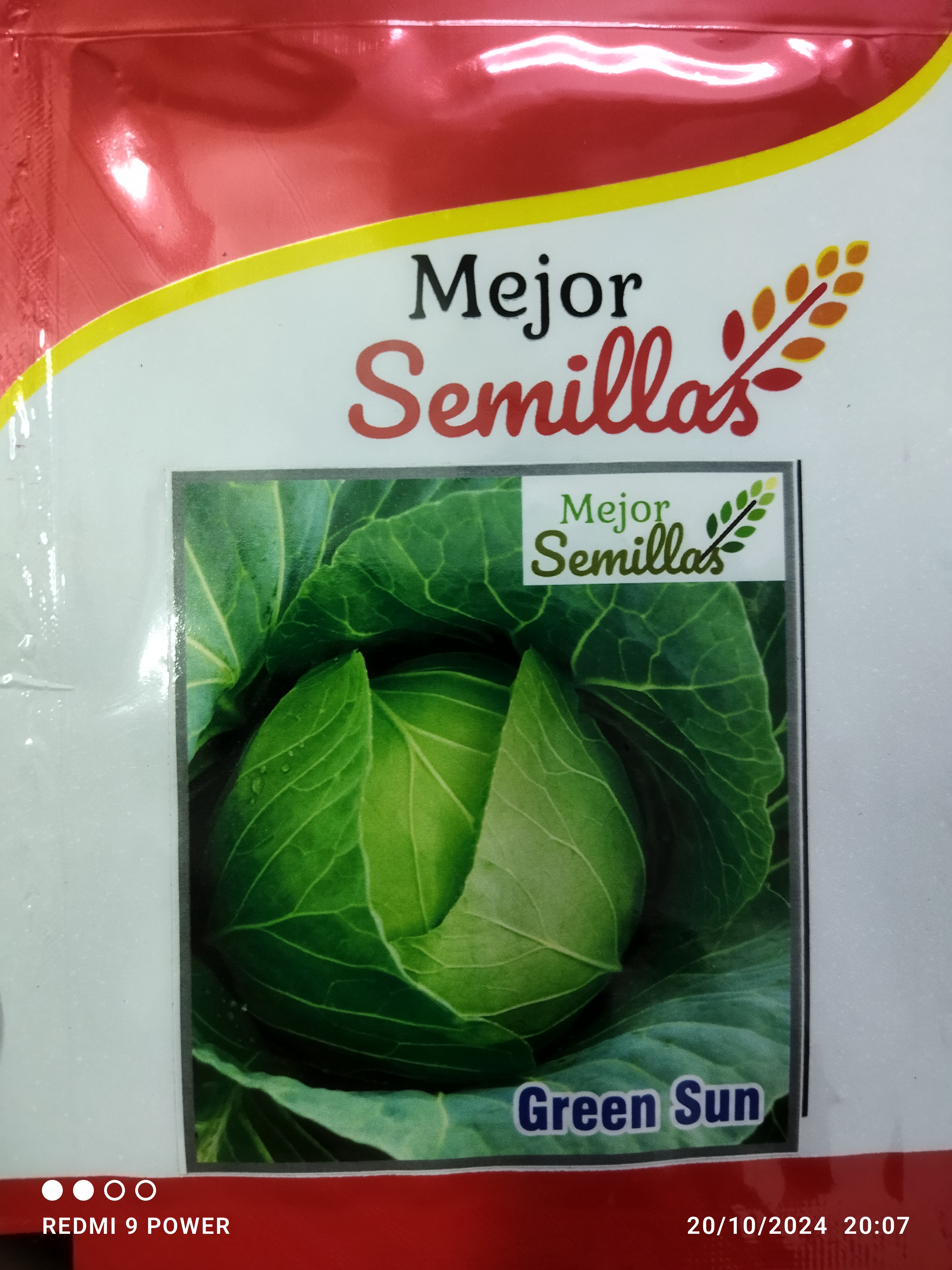 Growing Prosperity: How Green Sun F1 Cabbage Seeds Transform Indian Farmers' Lives