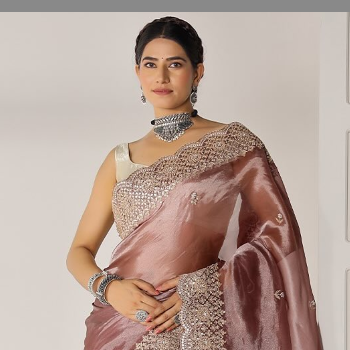 Embracing Elegance: How Aahid Jari Works Sarees Solve Every Woman's Wardrobe Woes