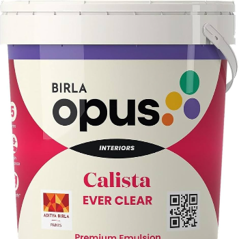 Transforming Spaces with Birla Opus Calista Ever Clear: The Ultimate Solution for Pristine Walls