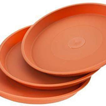 How Plant Pots and Base Plates Transformed Meera's Urban Garden