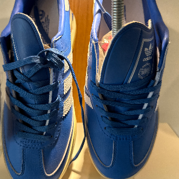 Sneaker Hub: Transforming Sneaker Enthusiasts into Savvy Collectors