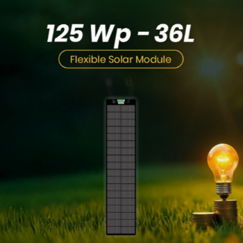 Empowering Green Journeys: How Waaree 125WP Solar Modules Transform Lives