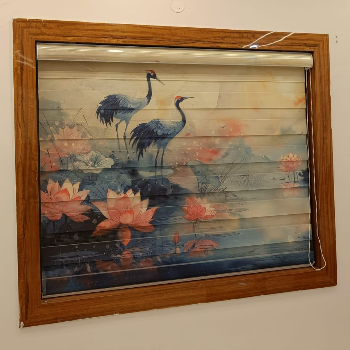 Transform Your Space: How Zebra Blinds Solved Radhika's Privacy Dilemma