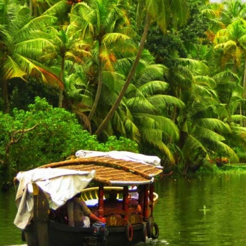 Discover Serenity: Kerala Backwater Tours for Stress Relief | SRI PALANI ANDAVAR TRAVELS