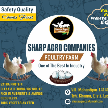 How High-Protein Eggs Transformed Ramesh's Fitness Journey | SHARP AGRO COMPANIES