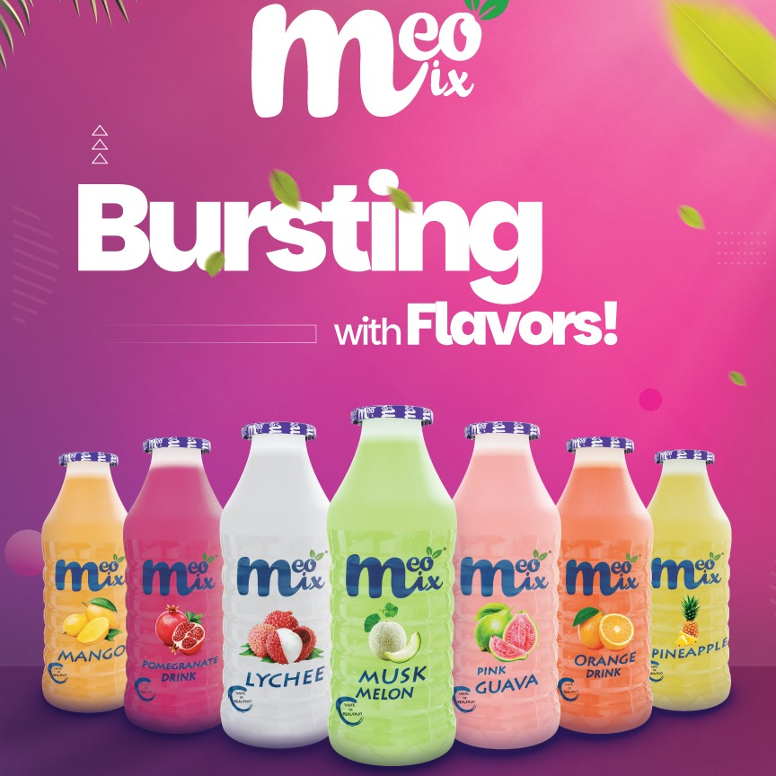 Transform Your Juicing Experience with Mio Mix Juve: The Perfect Companion for Health Enthusiasts | SHREE DUTT ENTERPRISE