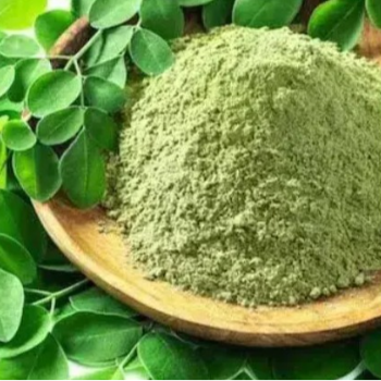 Discover the Miracle of Moringa: A Natural Boost for Your Health and Wellness | PANDIAN STORE