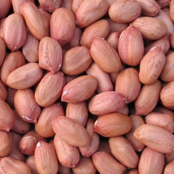 Discover the Perfect Solution for Your Snacking Needs: The Unsung Hero of Indian Kitchens | VIJAYA RICE MILL