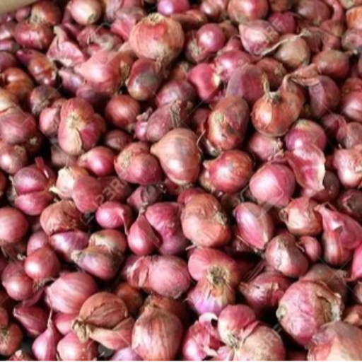 How Small Onions are Revolutionizing Indian Kitchens | SAM AND CO WHOLESALE AND RETAIL SHOP