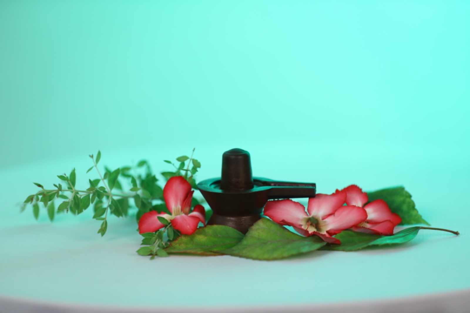 Embracing Tranquility: The Transformative Power of the Navapashanam Shivlingam | BOGAR SIDDHA PEEDAM