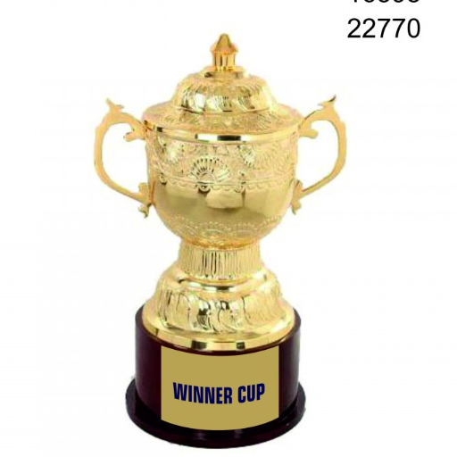 Celebrating Every Victory: The Perfect Sports Cup for Every Occasion | VIJAY TROPHIES