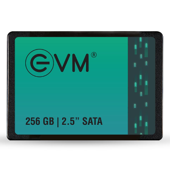 Transforming Tech Experiences: How the EVM 256GB SATA SSD Empowers Ramesh’s Digital World | SAI SYSTEMS AND SOLUTION