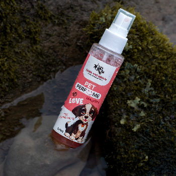 Transforming Pet Parenthood: How Bark and Broom Perfume Enhances Your Furry Friend's Life | BARK AND BROOM