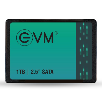 Transforming Workflows: How EVM 1TB SATA SSD Solves Your Storage Woes | SAI SYSTEMS AND SOLUTION