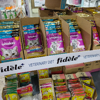 Whiskas Wet Food for Cats: The Perfect Solution for Your Feline's Picky Eating Habits | The Paws Avenue - Pet Care Clinic ( New Address )