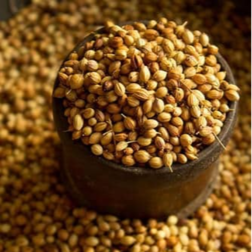 Discover the Secret Ingredient for a Healthier Lifestyle: Coriander Seeds | SAM AND CO WHOLESALE AND RETAIL SHOP