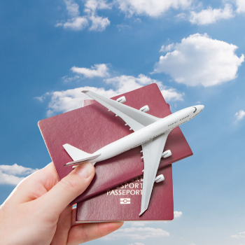 Discover Seamless Flight Bookings for Stress-Free Travel | DILIP S TRAVEL COMFORT