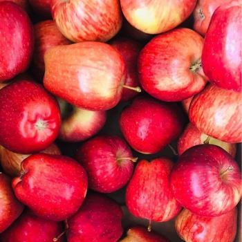 Discover the Perfect Apple: A Journey to Health and Happiness | HALARI FRUIT CENTRE