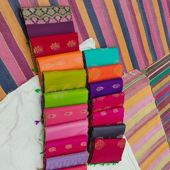 The Timeless Elegance of Semi-Uppada Sarees: A Tale of Tradition and Modernity | SRI LAKSHMI VENKATESHWARA SILKS