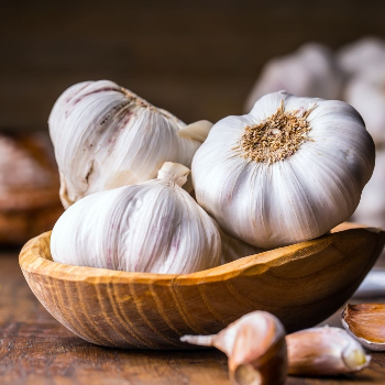 The Culinary Magic of Garlic: A Solution for Flavor Seekers | JAGAPATHY ENTERPRISES