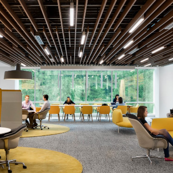 Transform Your Spaces: The Art of Thematic Artistic Ceilings | MOHD AAQIL